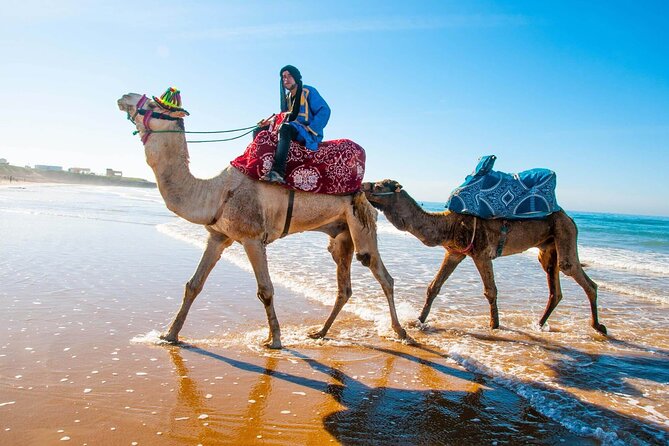 Quad Biking and Camel Ride Experience - Exploring Berber Villages
