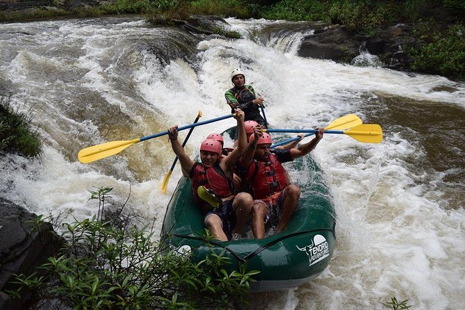Rafting Class III and IV in Tenorio River From Playa Flamingo - Spotting Wildlife and Scenery