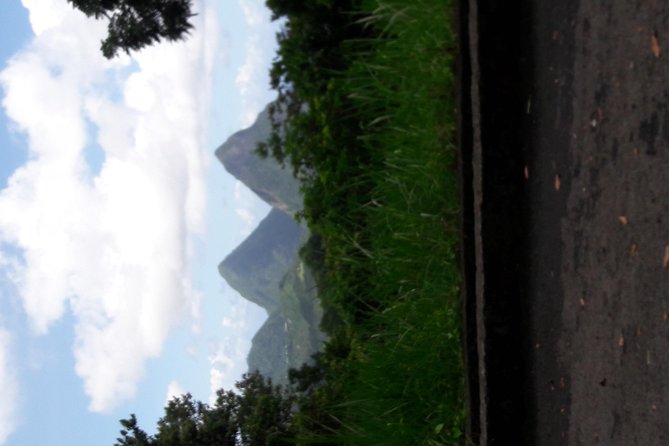 Rain Forest and Bird Watching - Inclusions