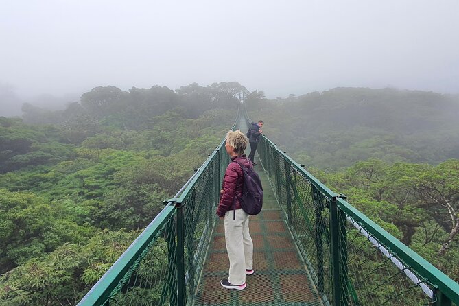 Rain Forest Monteverde,Hanging Bridges, Sloths,Birds Watching - Hanging Bridges Exploration