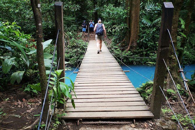 Rainforest Hiking to Rio Celeste Waterfall Private Tour - Tour Rating and Pricing