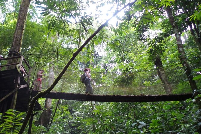 Rainmaker Waterfalls and Hanging Bridges From Manuel Antonio - Transportation and Logistics
