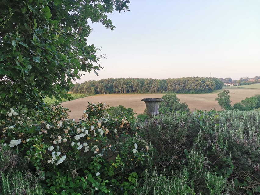 Reading: Vineyard Tour & Tasting at Château Arton - Educational Aspects