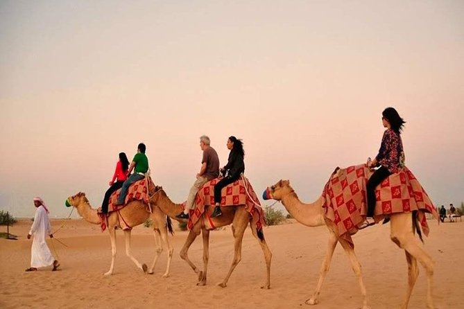 Red Dunes Safari With BBQ Dinner, Falcon and Camel Ride - Meeting and Pickup Details