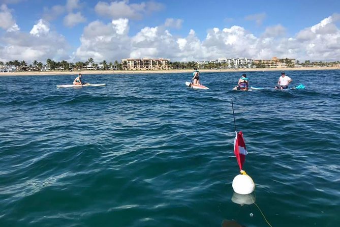 Reef Snorkel & Ocean Paddle Adventure in Fort Lauderdale Beach - Customer Testimonials and Reviews