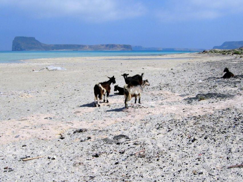 Rethymno: Gramvousa & Balos Lagoon Day Trip With Boat Ticket - Transportation and Accessibility