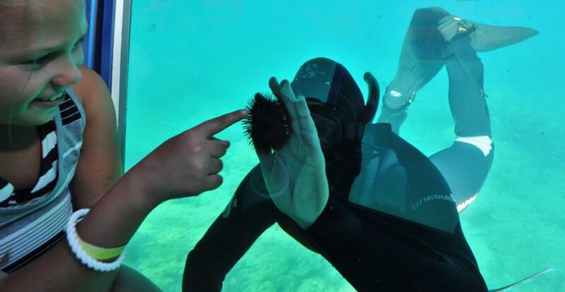 Rhodes Town: Yellow Submarine Cruise With Underwater Views - Underwater Viewing