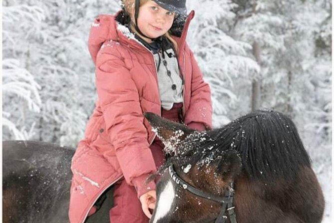 Riding Tour With Finnhorses at Santa Claus Village - Safety and Comfort During the Ride