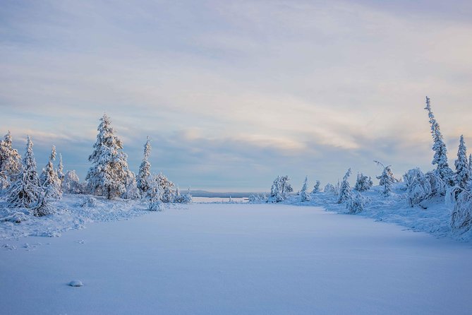 Riisitunturi Wilderness Adventure - What to Expect