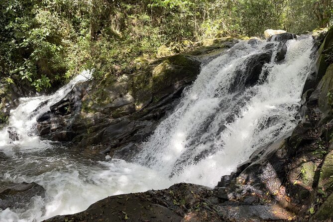 Rincon De La Vieja/Santa Maria Nature Hike & Hot Springs/Half Day - Relaxation at the Thermal Pools