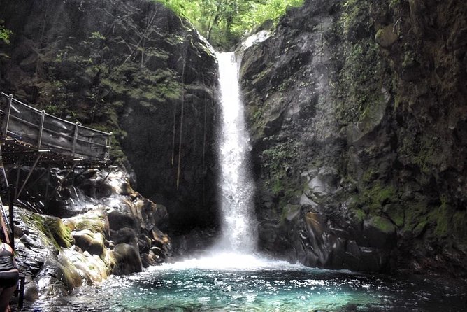 Rincon De La Vieja Volcano Hike, Mud Bath and Hot Springs - Wildlife Spotting Opportunities