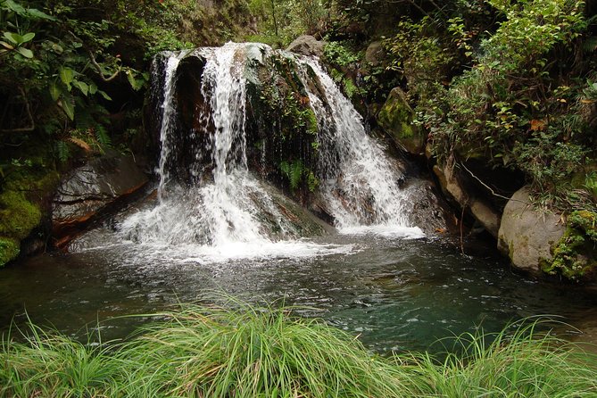 Rincón Waterfalls Experience - Horseback Ride to Waterfalls and Pools