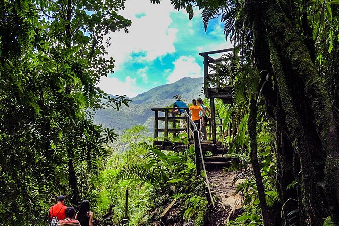Río Celeste Waterfall - Rainforest Hike, Incl Lunch. - Cancellation Policy