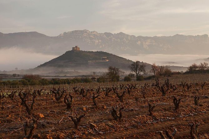 Rioja Alavesa Wineries and Medieval Villages Day Trip - Visit to Laguardia Village