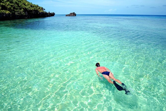 Roatan Chocolate Factory Rum Factory and Beach Day Tour - Meeting and Pickup Arrangements