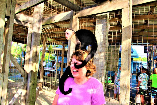 Roatan Excursion: Zip-Line With Sloths Park - What to Expect