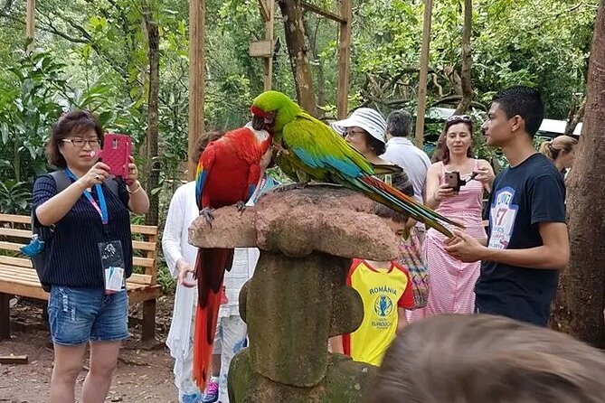 Roatan Half Day Zipline Beaches, Suspencion, Bridges & Wildlife - Roatans Lush Jungle