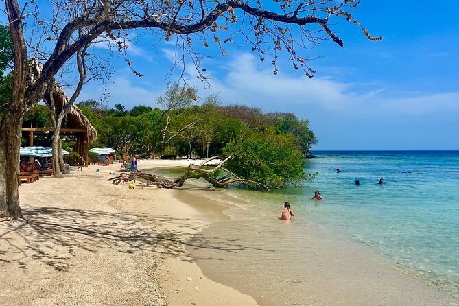 Roatan Monkey and Sloth Sanctuary and Beach Break - Recommended for Families