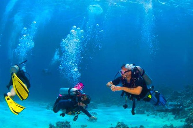 Roatan Reactive-Refresher Dive Course - Meeting and Pickup Arrangements