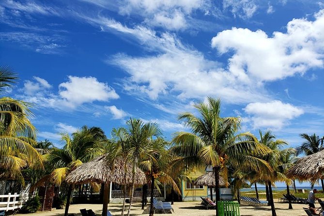 Roatan Shore Excursion - the All in One Roatan Adventure - Convenient Transportation and Amenities