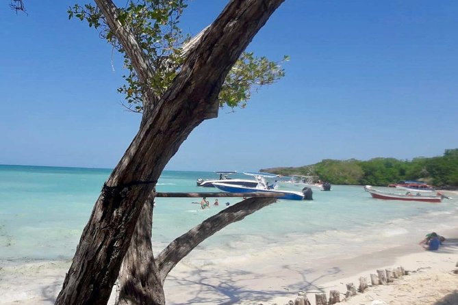Rosario Islands Full Day Tour - Health and Safety Information
