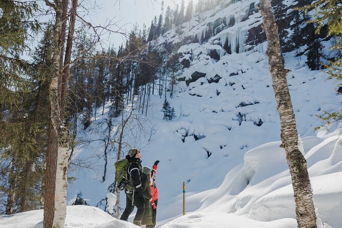 Rovaniemi - Visit to The Frozen Waterfalls of Korouoma - Wildlife Encounters