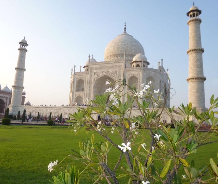 Royal Agra Experience: One-Day Tour From Delhi - Itinerary Highlights