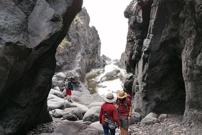 S. Jorge Van Tour - Full Day With Activities - Full-Day Tour Itinerary