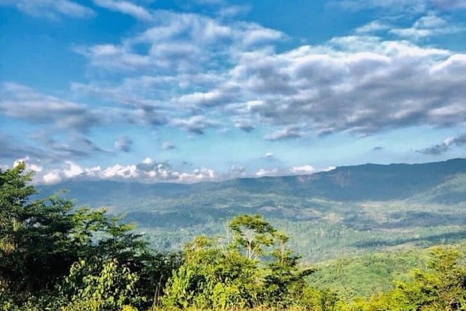Safari & Waterfalls Trails Experience Out the Beaten Path. - Wildlife Sighting Expectations