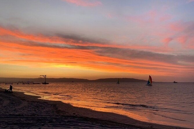 Sail on a Catamaran and Discover Paracas Bay - Unforgettable Catamaran Ride Experience