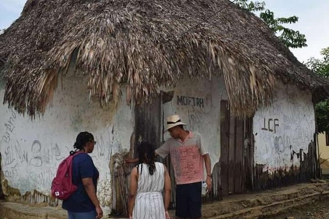 Saint Basil of Palenque; Historical and Cultural Experience - Transportation and Inclusions