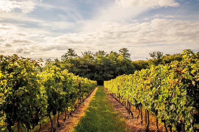 Saint-Emilion Private Half Day Wine Tour From Bordeaux - Comfortable Transportation