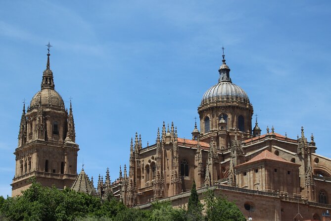 Salamanca Like a Local: Customized Private Tour - Positive Traveler Experiences