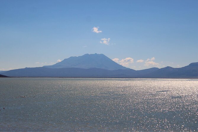 Salinas and Aguada Blanca Reserve Tour From Arequipa - Tour Highlights