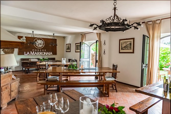 San Gimignano Family Farm Tour With Wine and Olive Oil Tasting - What to Expect on the Tour