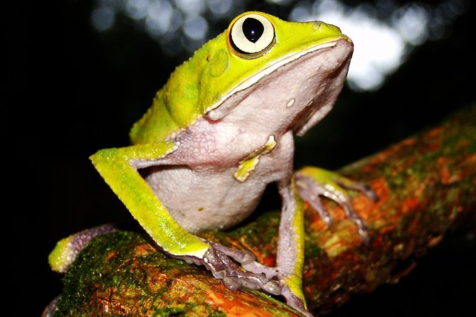 Sandoval Lake and Tambopata National Reserve - Accessibility and Health Requirements