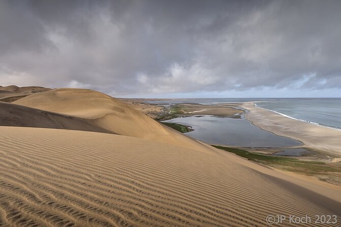 Sandwich Harbour Half-Day 4x4 Tour (5 Hours) From Walvis Bay - Wildlife Spotting