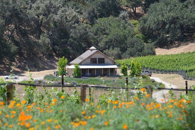 Santa Barbara Wine Tour Experience - Authentic and Boutique - Picturesque Vineyard Vistas