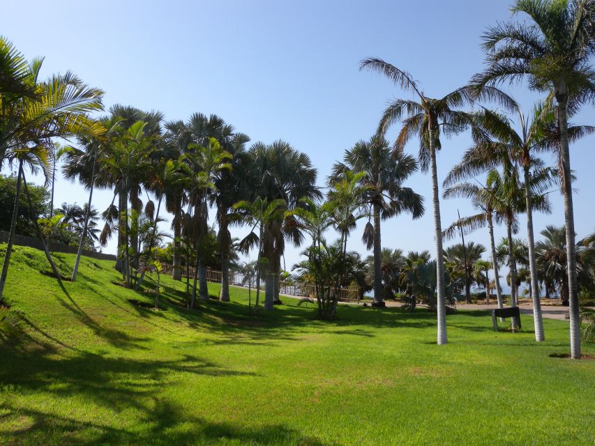 Santa Cruz De Tenerife: Palmetum Entry Ticket - Plant Diversity and Collections