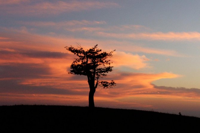 Santa Rosa National Park & Liberia City Tour Incl. Lunch - Inclusions and Logistics