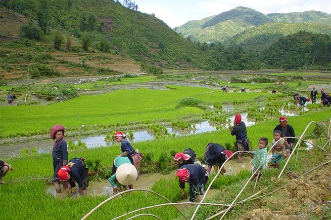 Sapa Hard Trekking Villages 2d/1n: Homestay, Meals, English Speaking Guide - Meals Included in the Tour