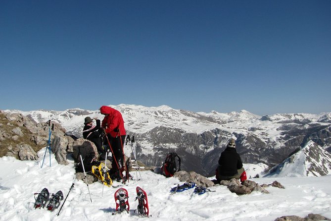 Sarajevo Snowshoeing Adventure - Viator Help Centre for Inquiries
