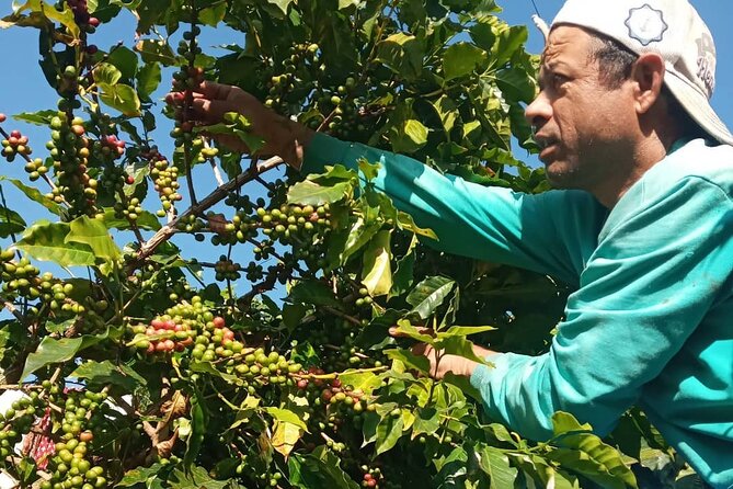 Sarangkot Village Coffee Culture and Authentic Local Life Tour - Community Engagement and Support