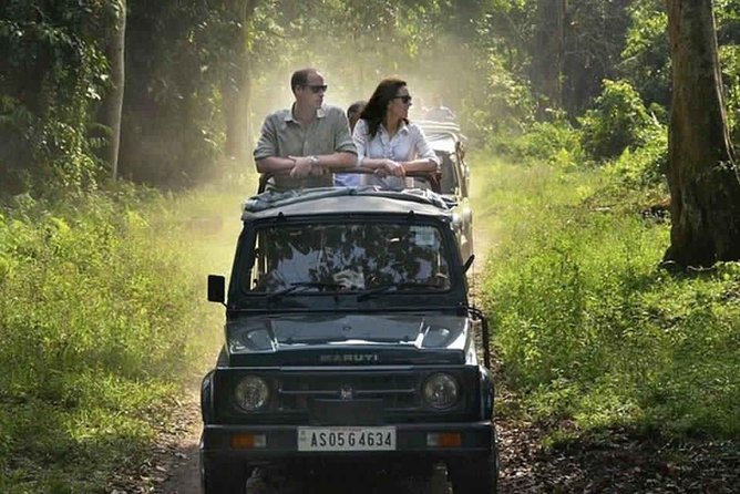 Sariska Tiger Reserve Safari Tour From Jaipur - Health and Accessibility