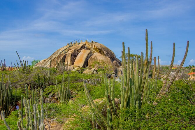 Scenic Aruba Self-Guided Driving and Walking Audio Tour - User Experiences and Feedback