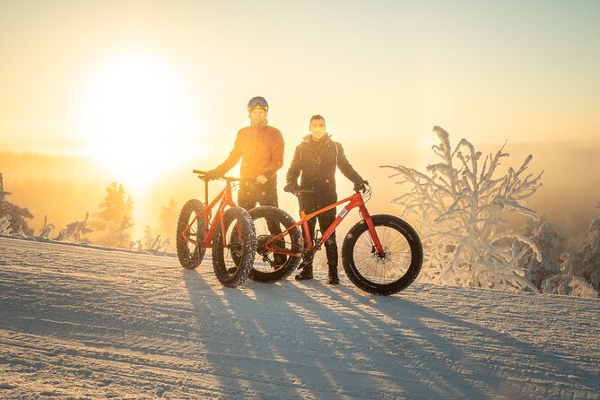 Scenic Electric Fat Bike Group Ride in Rovaniemi - Equipment and Safety