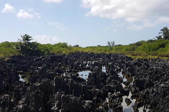 Scenic Island Private Tour - Booking Information