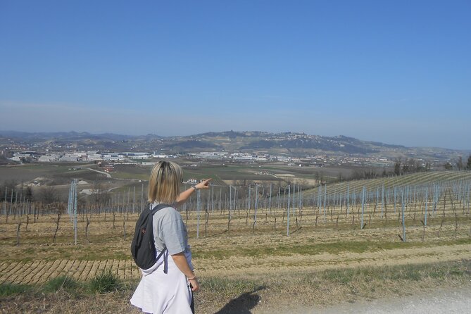 Scenic Langhe Hike and Wine Tasting From Alba  - Langhe-Roero and Monferrato - Departure and Arrival Points