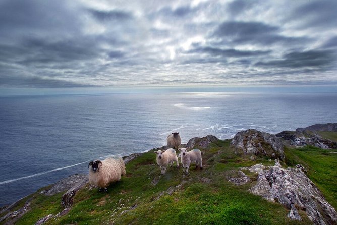 Scenic West Cork to Mizen Head Departing From Cork City. Guided. Full Day - Tour Logistics