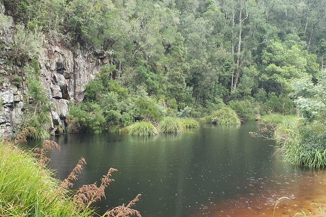 Scooter Tours Through Tsitsikamma National Park - Safety and Preparation